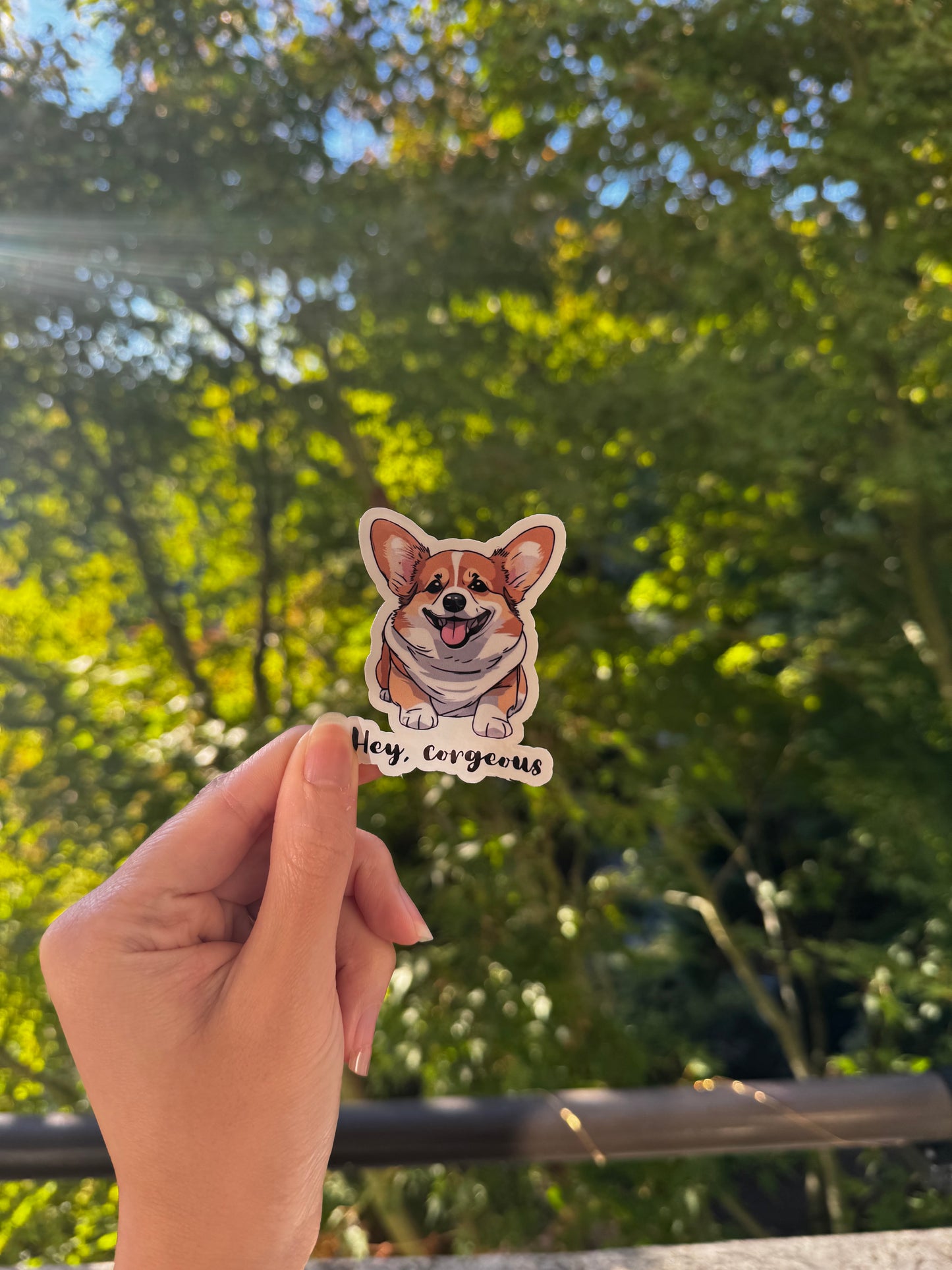 Hey corgeous waterproof corgi sticker